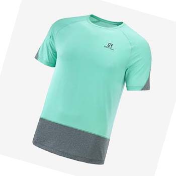 Camiseta Salomon CROSS RUN Hombre Verde Menta | MX 3227WNB